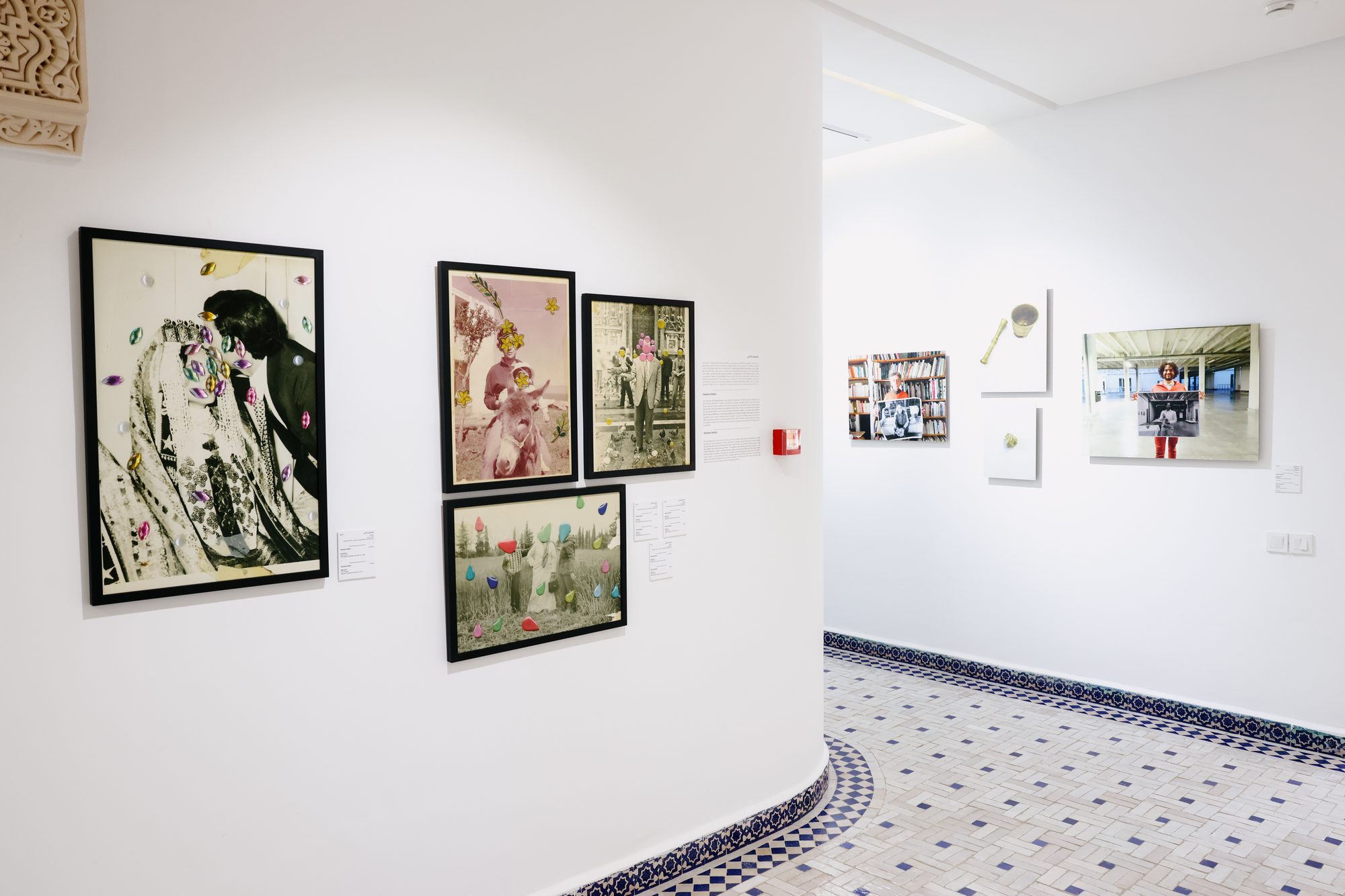 Yasmine Hatimi, Les oiseaux series, installation view